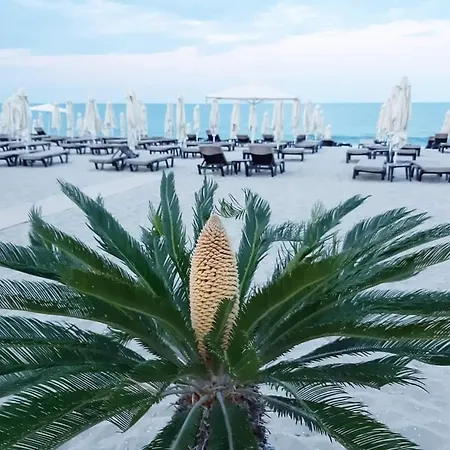 студио водолей אובזור