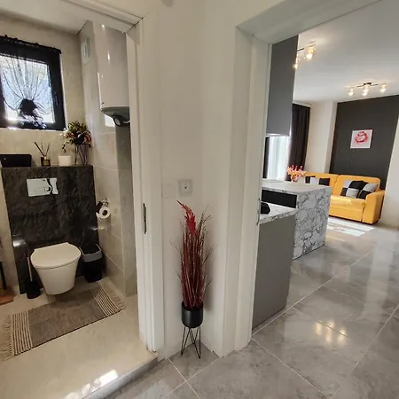 студио водолей 아파트 *