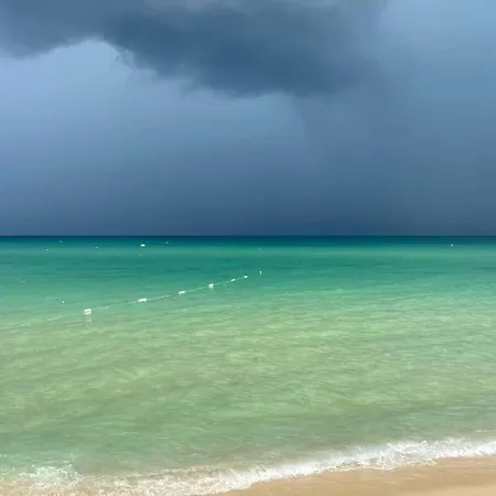 студио водолей *