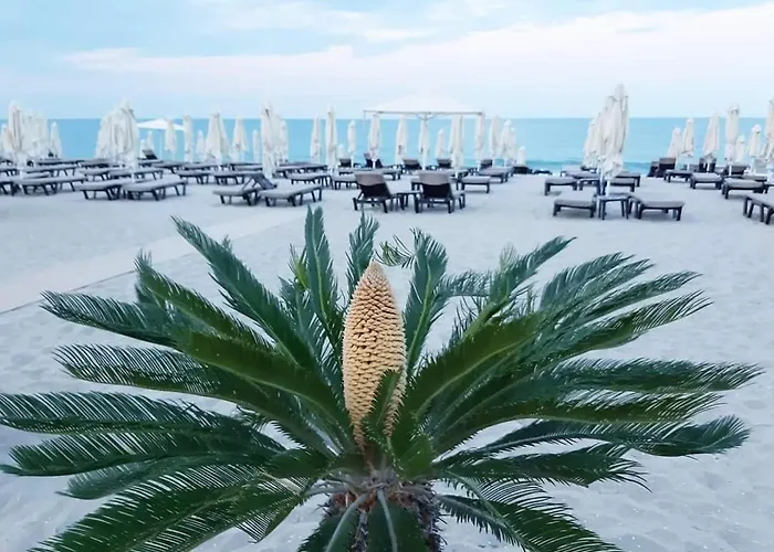 студио водолей Obzor