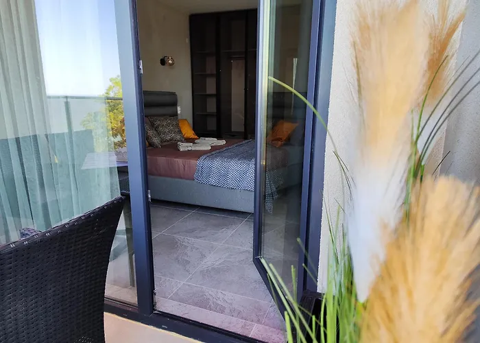 студио водолей *